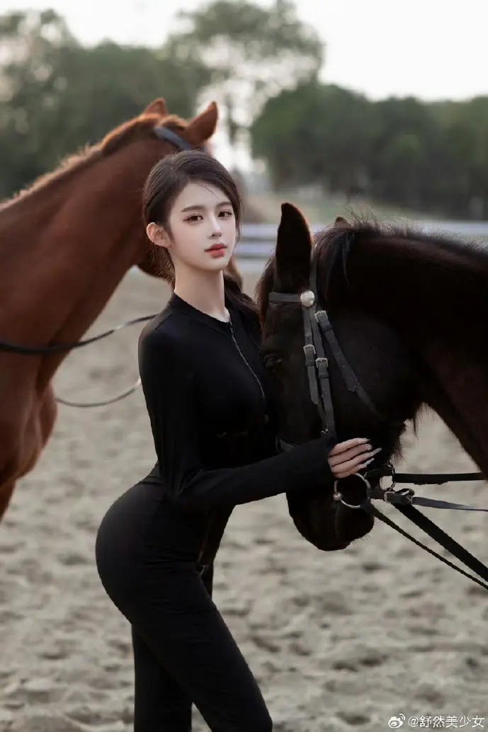 明星大侦探剧照